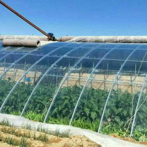 多功效耐用型PO膜